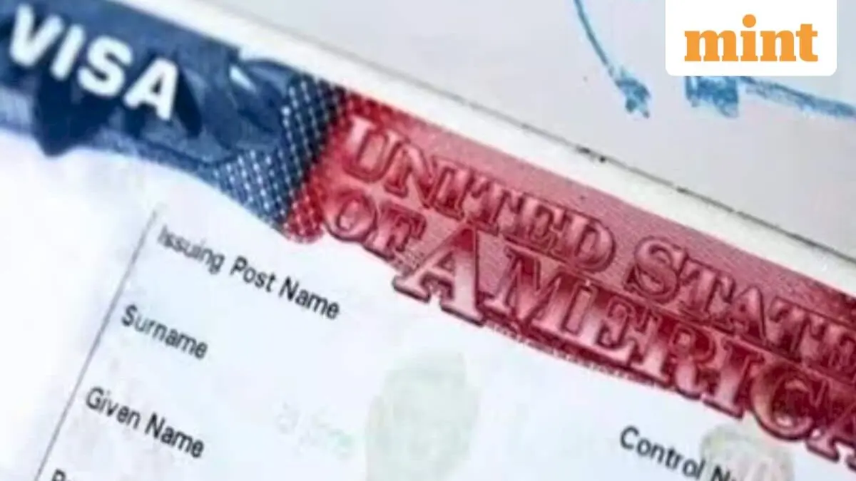 US Senator demands tighter H-1B rules, says firms favour foreign workers