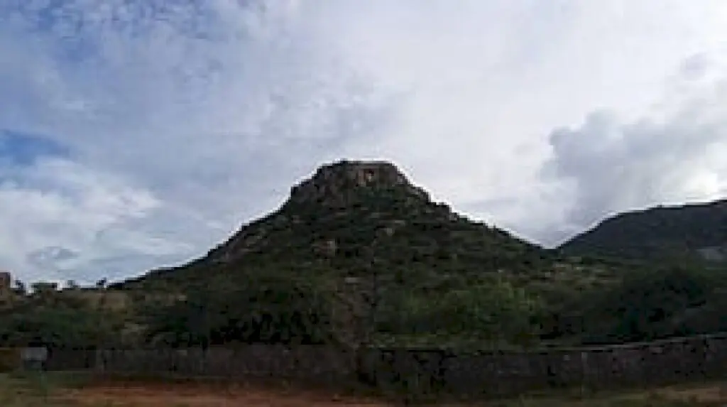 No trace of missing Shivagange trekker, search continues