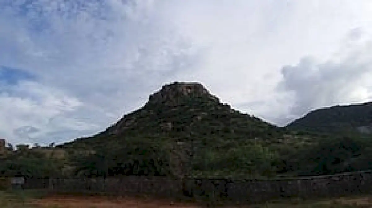No trace of missing Shivagange trekker, search continues
