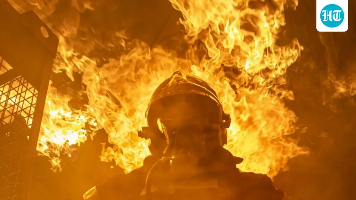 San Pedro brush fire stopped at 2 acres, no injuries reported