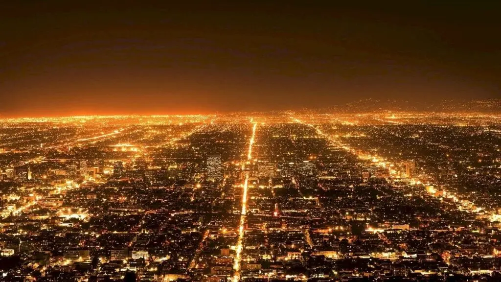Light pollution disrupts human health and wildlife, scientists warn
