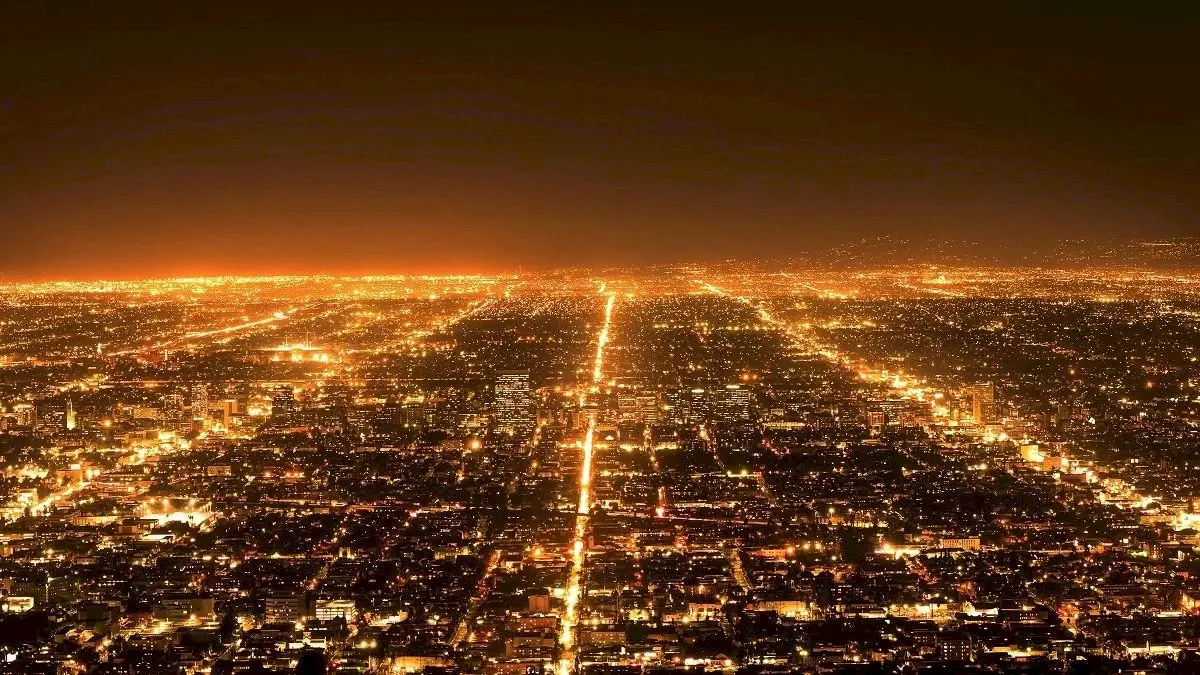 Light pollution disrupts human health and wildlife, scientists warn