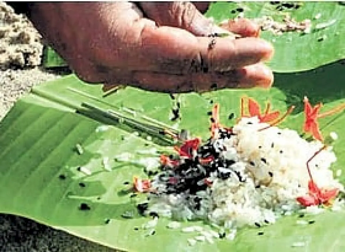 Kerala health dept gears up for Karkkidaka Vavu Bali on August 12