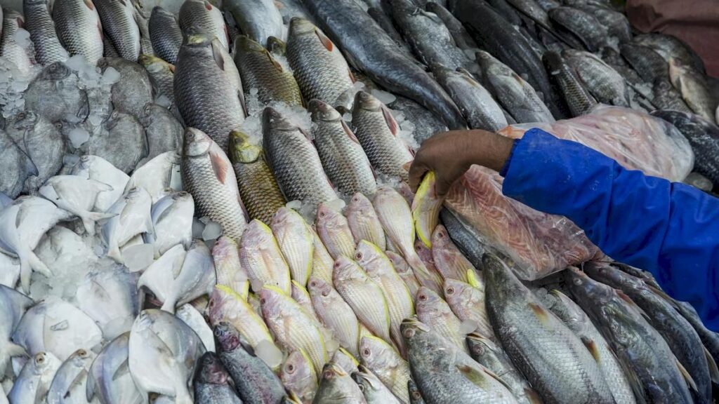 ₹47-crore-wholesale-fish-market-planned-in-hyderabad-under-₹353-crore-fisheries-push