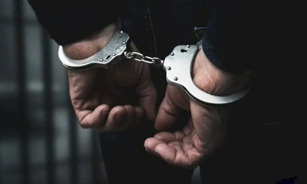 Chennai Customs seize Rs 4 crore hydroponic cannabis from Malaysian