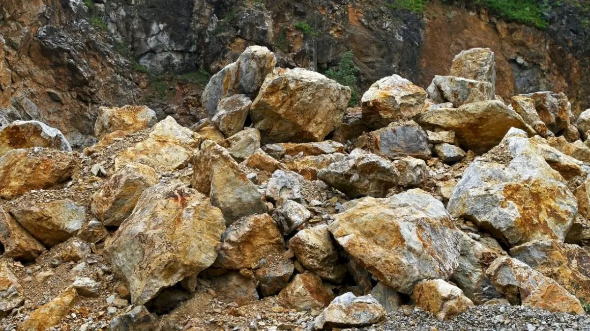 NGT questions Balasore quarry over excess mining, seeks report