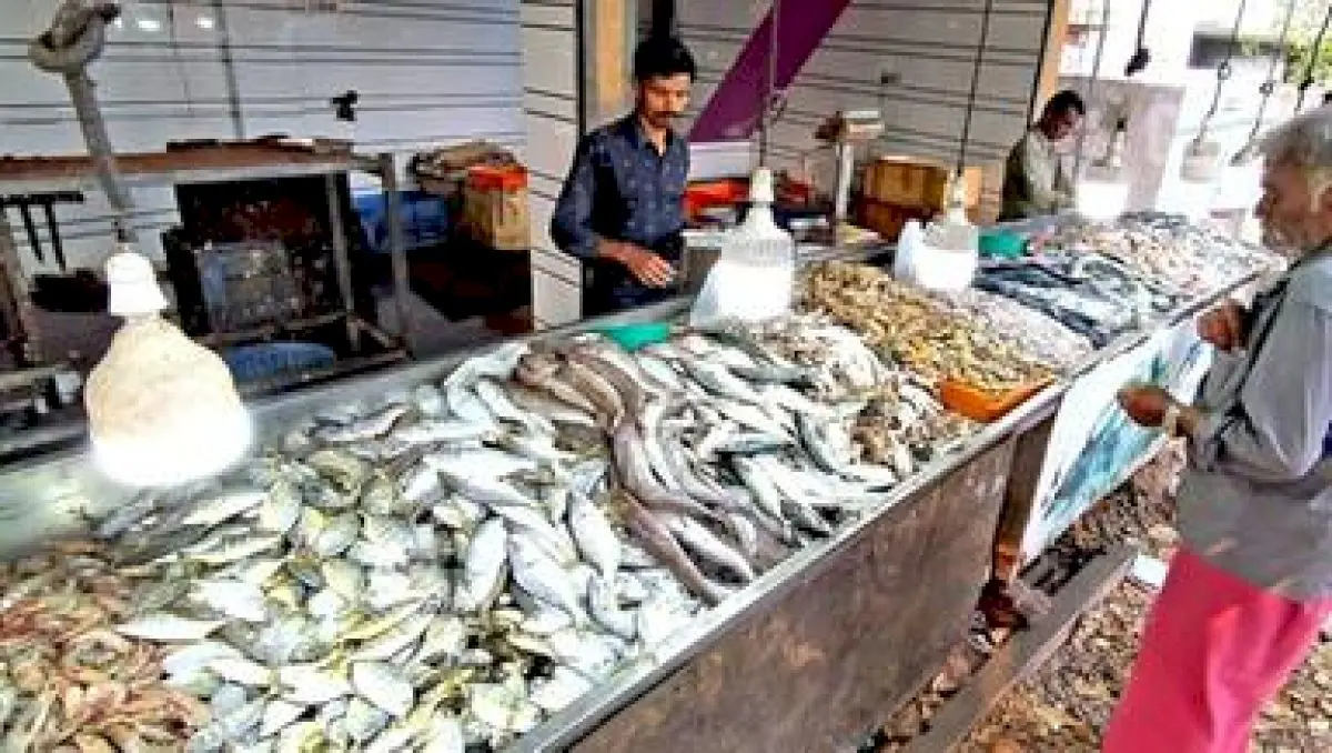 Kerala fish prices soar as rain, rough seas disrupt supply