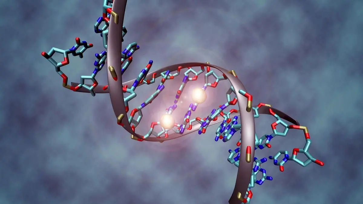 Study finds 500+ cases of non-Mendelian inheritance in mice
