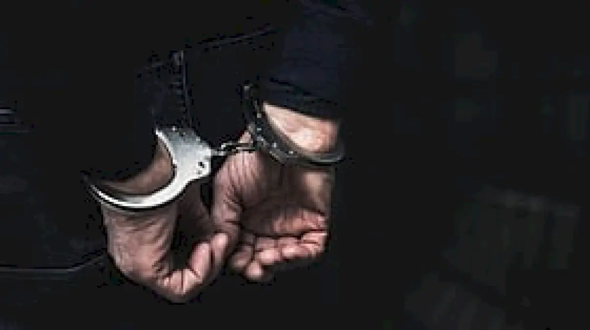 Two arrested for brandishing sword at Ullal, Mangaluru