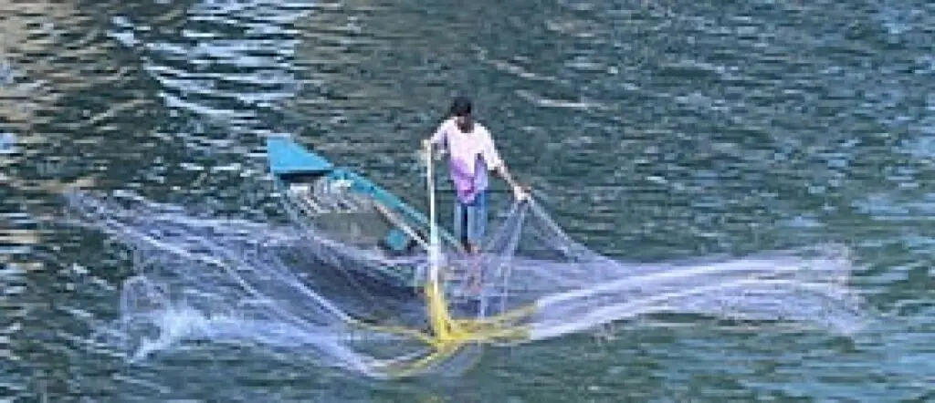 Floodwaters revive fishermen’s hopes for Pulasa catch in Godavari
