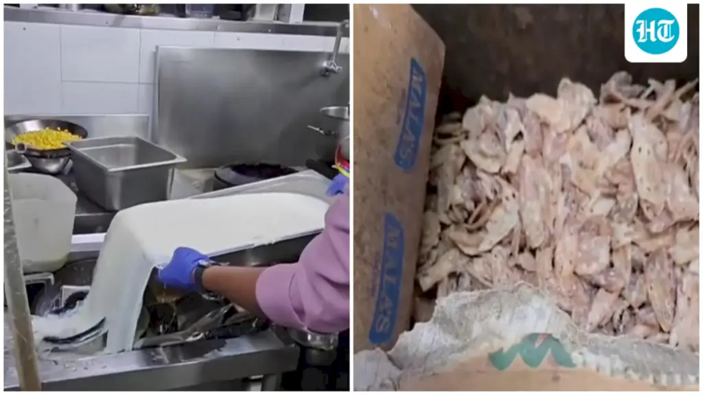 Karnataka FDA seizes 132 kg rotten meat, fungus veggies