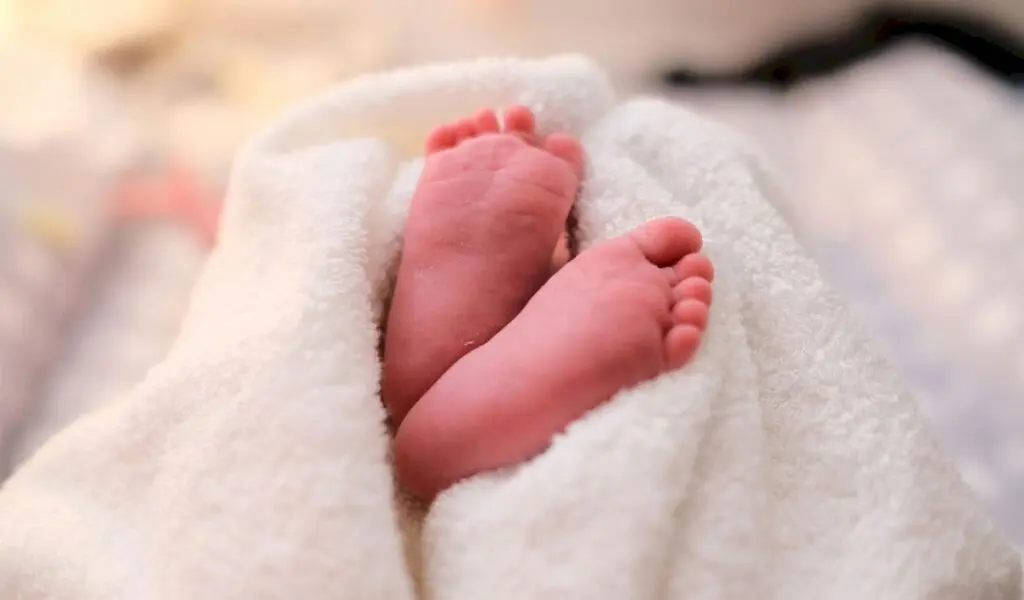 Newborn wrapped in plastic abandoned in Mancherial