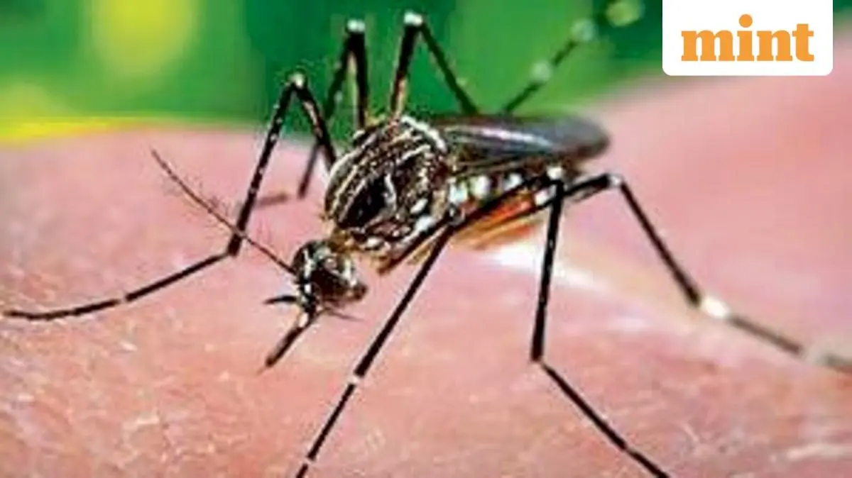 Qdenga dengue vaccine likely in India by early 2027
