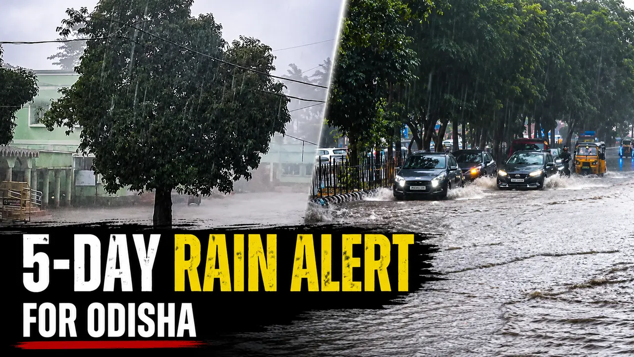 Odisha braces for widespread rain, yellow alert for 21 districts