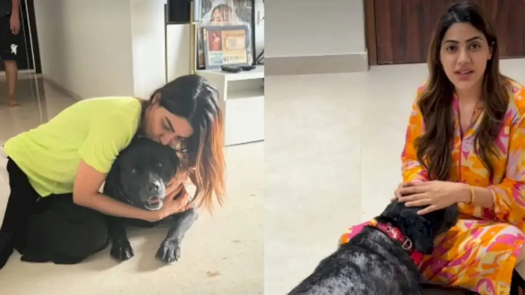 Nikki Tamboli loses 13-year-old dog Kristy, posts emotional farewell