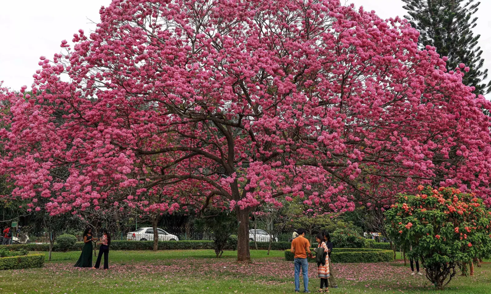 Karnataka cabinet clears bill to use 5% of park land for projects