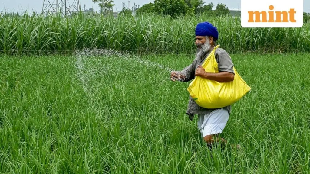 Ammonia price relief lifts fertiliser stocks outlook