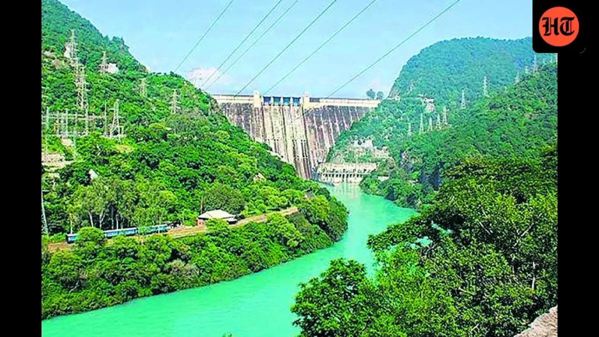 Himachal rain lifts Bhakra Dam level to 1,612 feet, still safe