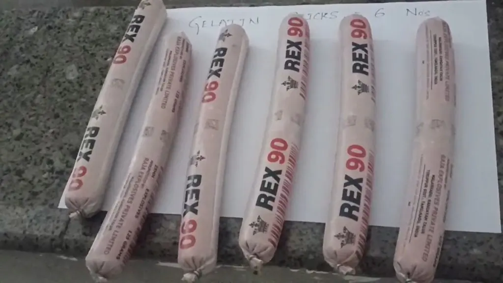 1,500 kg gelatin sticks, 4,000 detonators seized in Gujarat