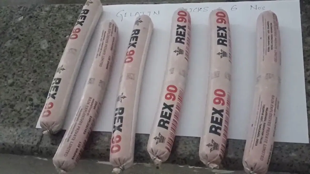 1,500 kg gelatin sticks, 4,000 detonators seized in Gujarat