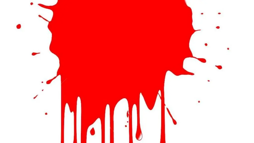 Woman councillor stabbed by father-in-law in Kerala's Piravom