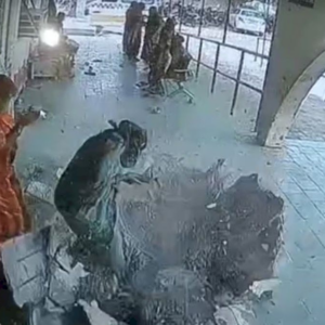 rajasthan-hospital-entrance-canopy-collapses-on-woman,-incident-captured-on-cctv