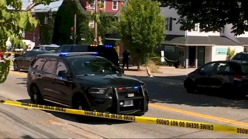 Two custodians shot dead at Chicago elementary school