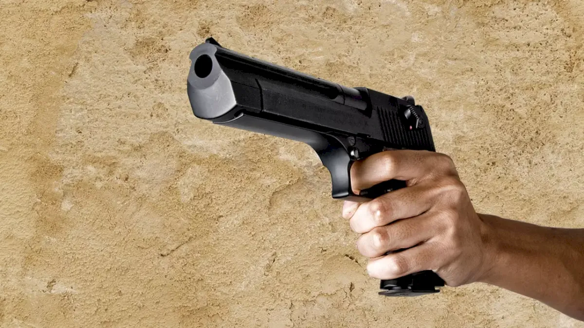 No fundamental right to gun license: Gauhati High Court