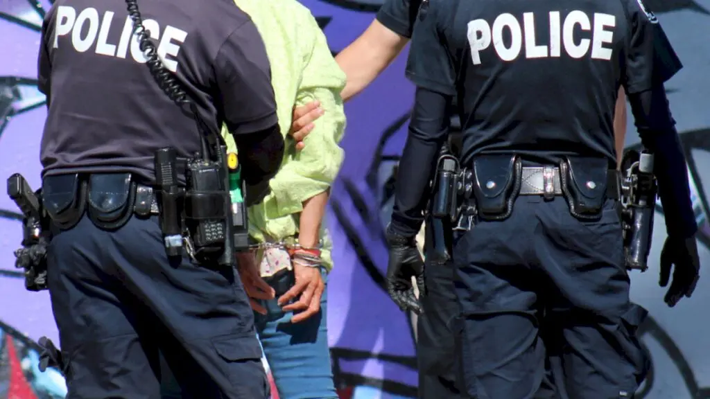 Two police officers stabbed in Toulouse knife attack
