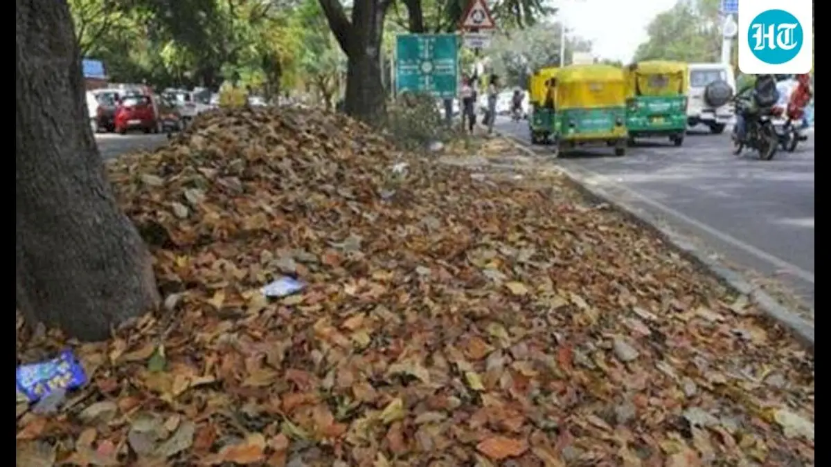 Lucknow plans first horticulture waste plant to process 300 tonnes daily