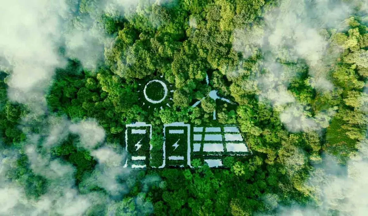Green India Mission restores 1.84 lakh hectares since 2015-16