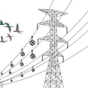 Bird-Safe Power Lines Installed by MP Transco Across Malwa
