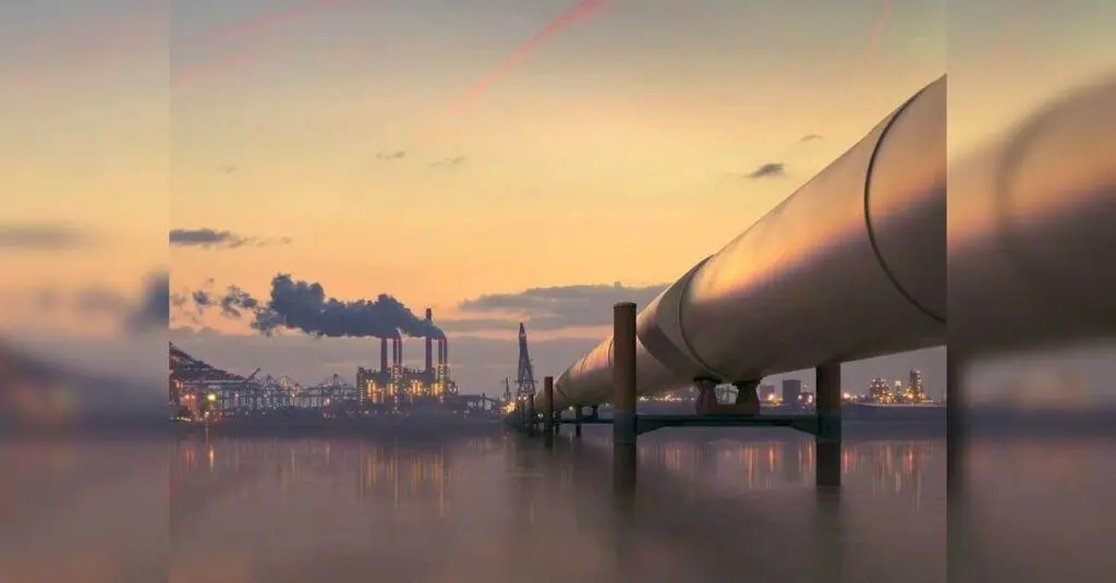 Five city gas firms clock 55% of India's compressed biogas sales