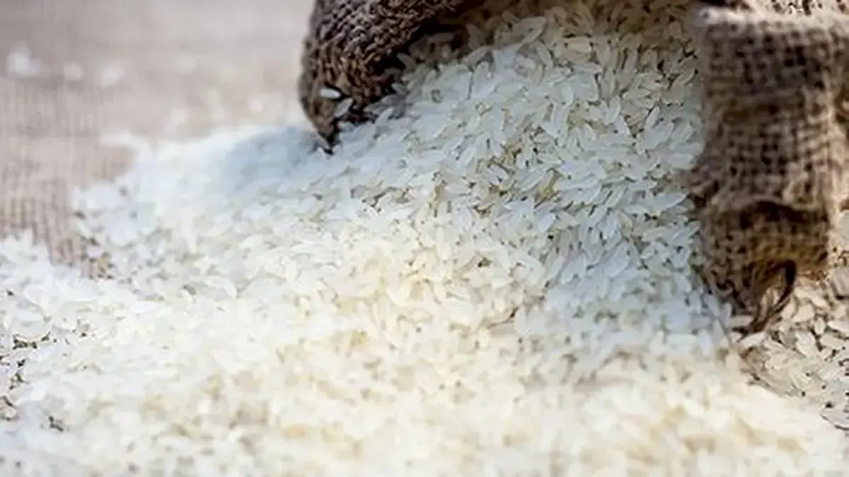 China revokes 7 Indian rice exporters' licences over GM claim