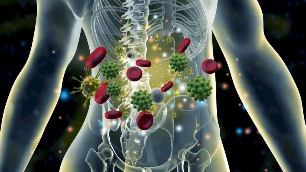 Udupi conference to study Ayurveda's role in autoimmune disorders