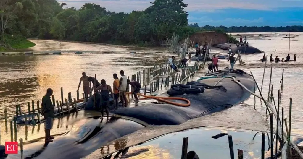 Assam flood toll reaches 103, affected count drops to 87,000