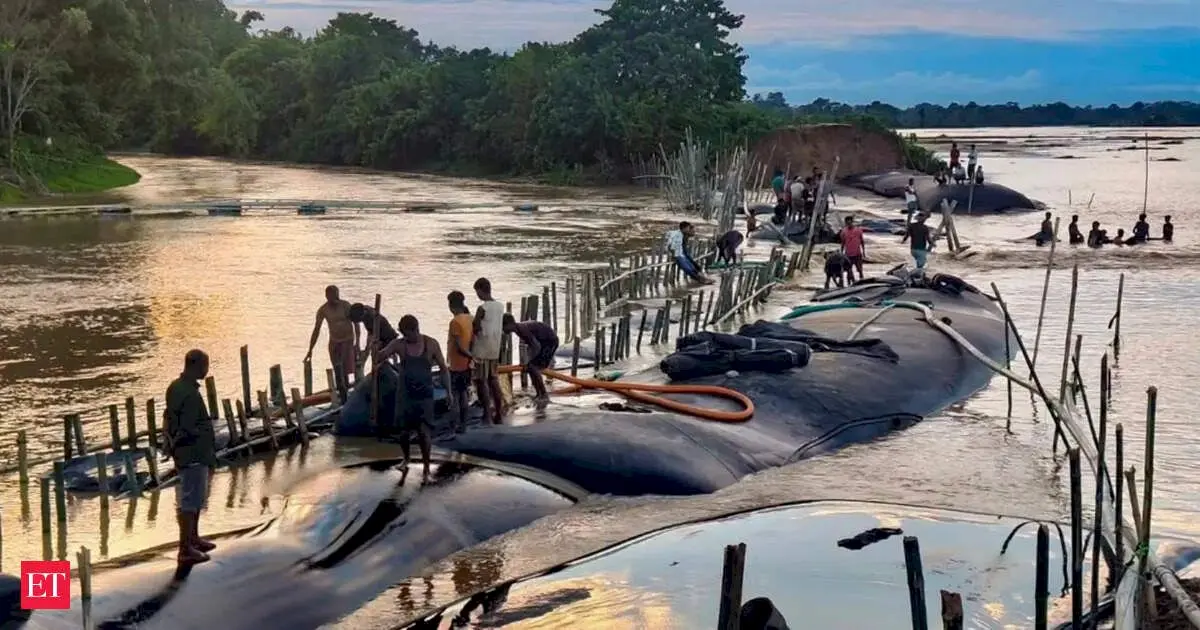 Assam flood toll reaches 103, affected count drops to 87,000