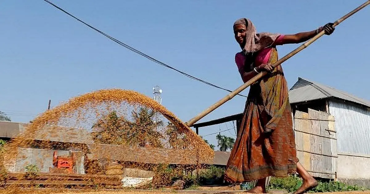 Chandigarh to launch digital rupee for PMGKAY food subsidy on August 14
