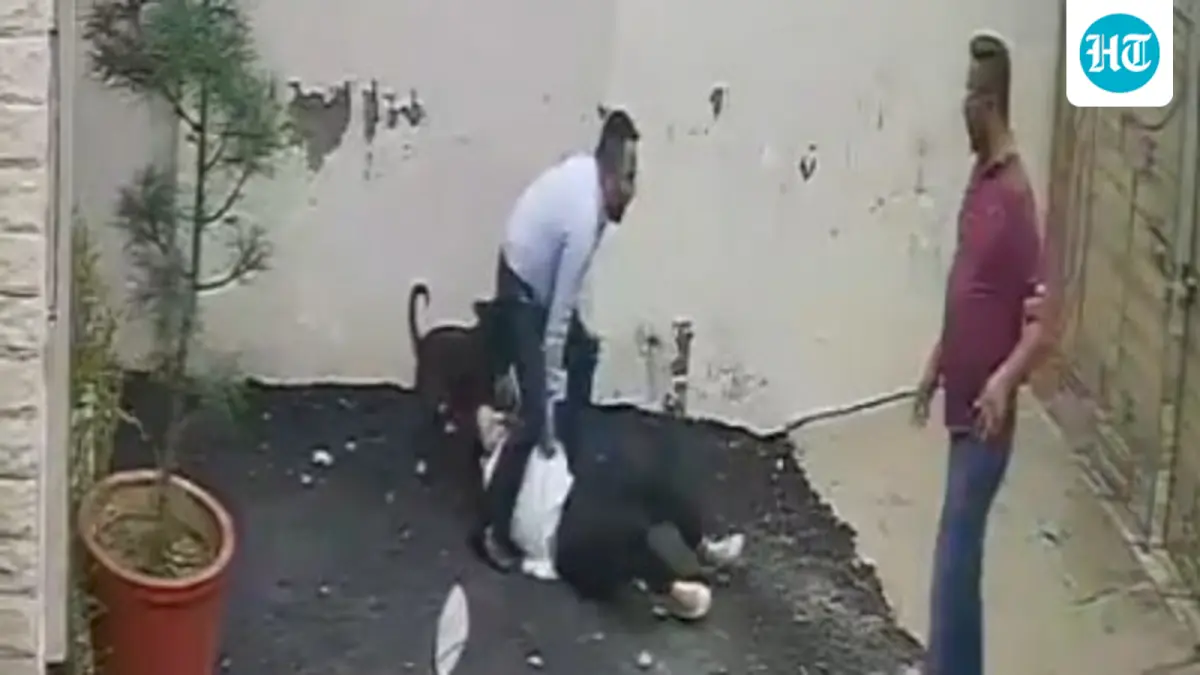 Pitbull attacks couple viewing rental house in Patiala