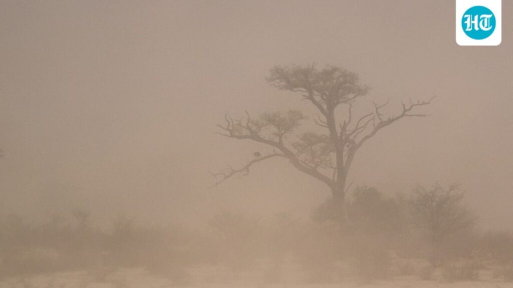 Second Dust Storm Hits Phoenix After Rare Category 5 Event