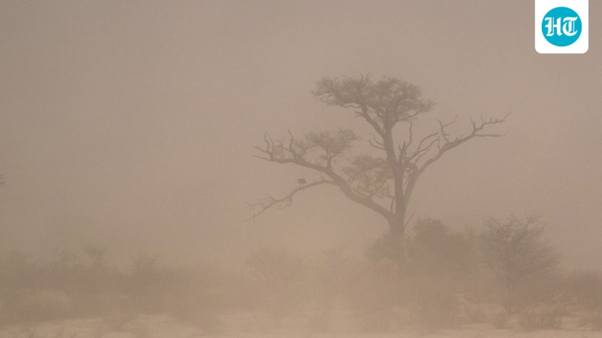 Second Dust Storm Hits Phoenix After Rare Category 5 Event