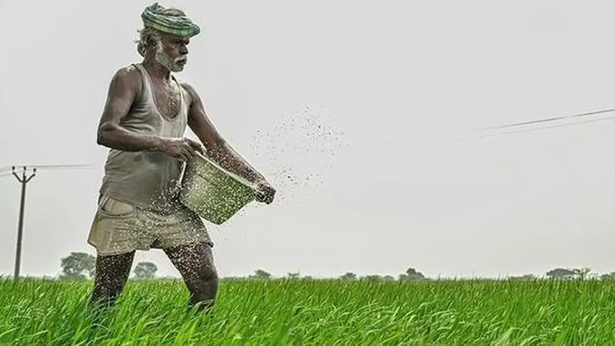 Fertilizer sales drop 13% in July on weak monsoon, low sowing