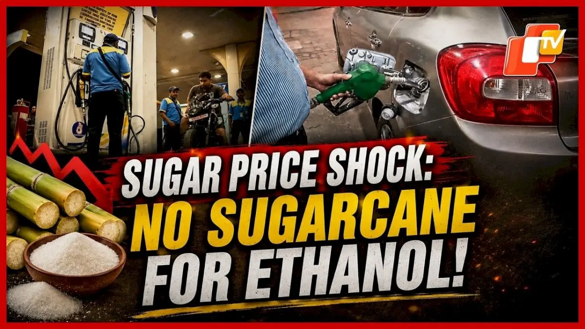 Sugar Prices Hit Record High, Centre May Cut Sugarcane for Ethanol