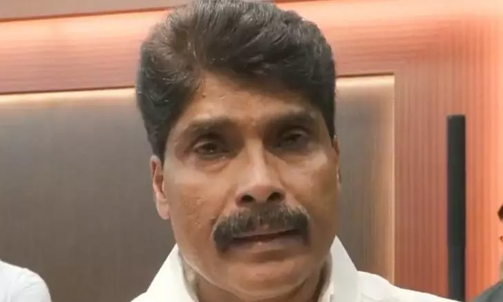 Pesticide residues found in 58 food samples in Kerala: Minister