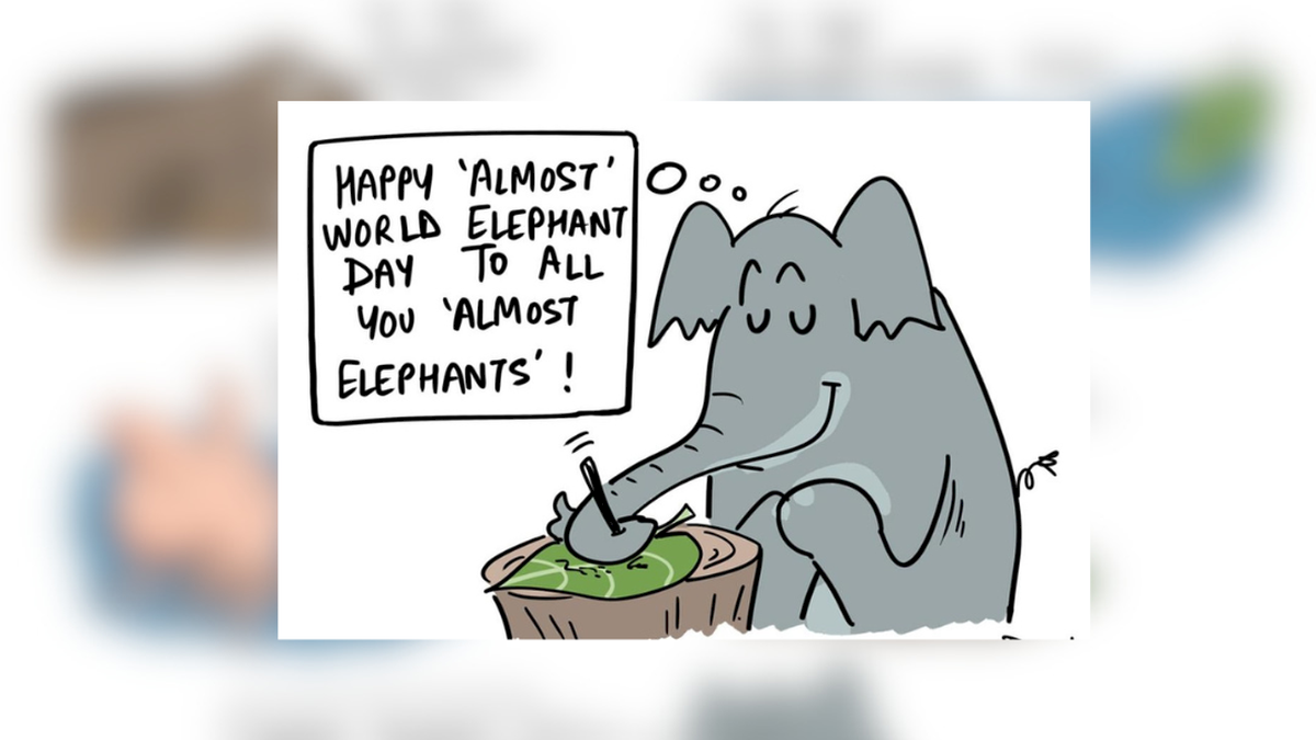 The Hindu Marks World Elephant Day With Green Humour Cartoon Feature