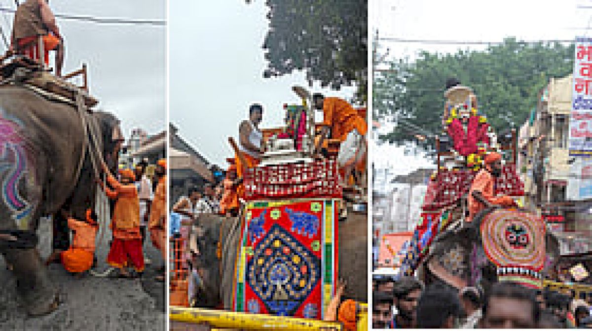 Shyamu Elephant Set to Complete 10 Years in Ujjain Mahakal Procession