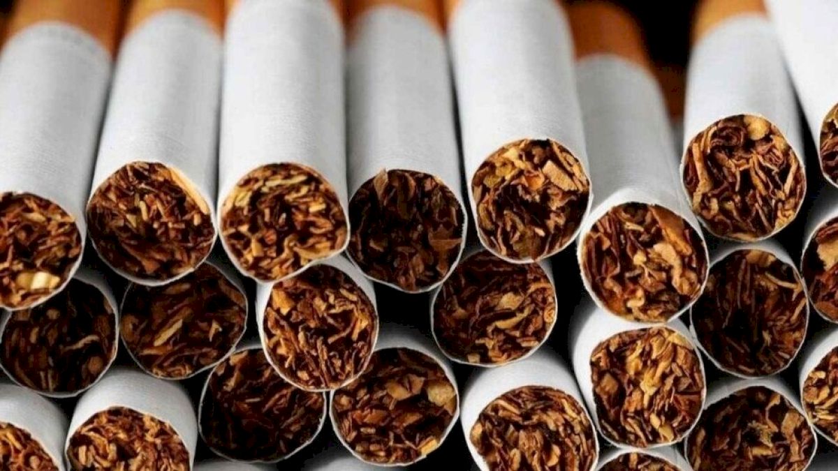 Delhi Police seize 2.82 lakh prohibited imported cigarettes