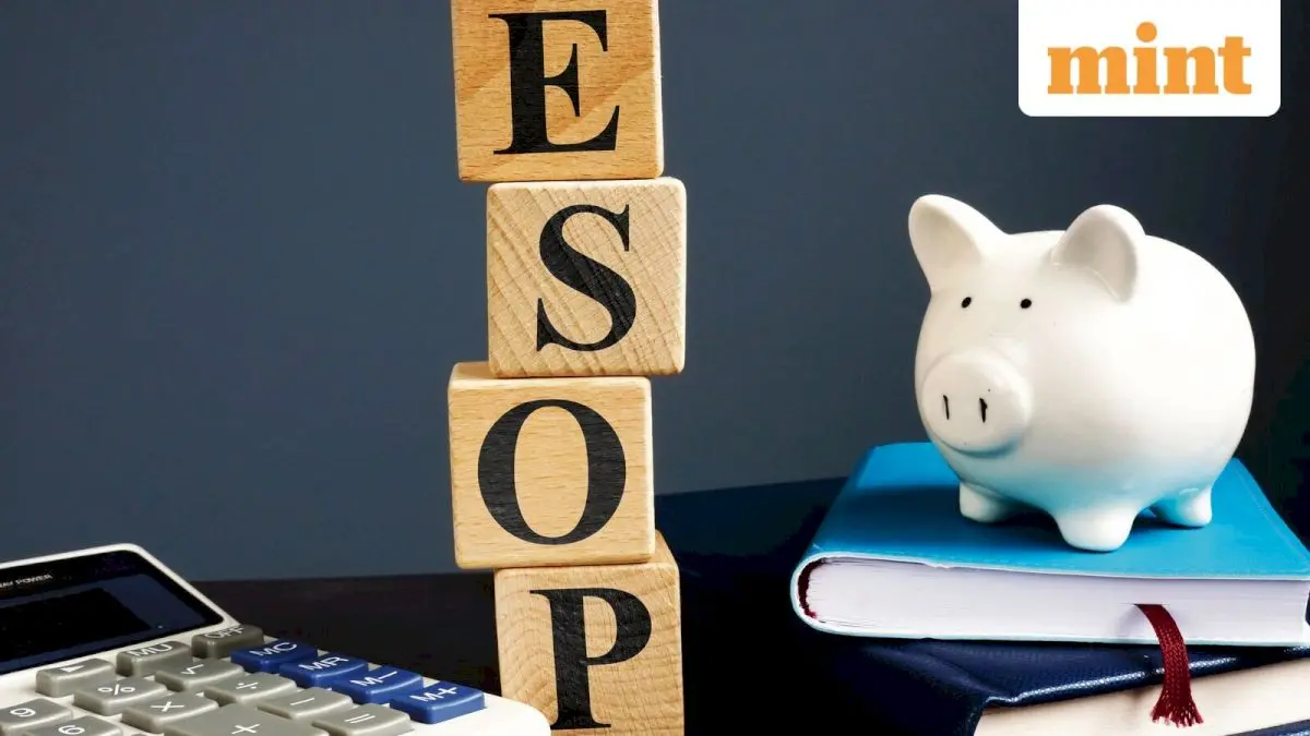 ITAT rules Flipkart ESOP buyback is capital gain, not salary