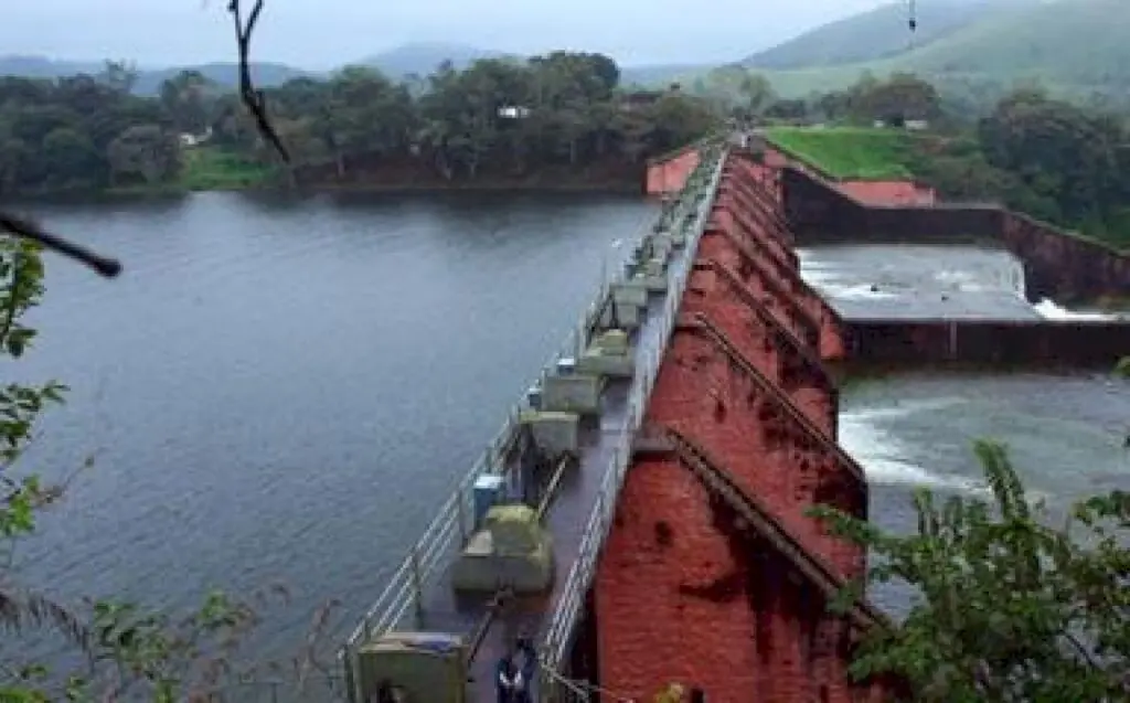 Tamil Nadu tells SC Kerala misled court over dam tree felling