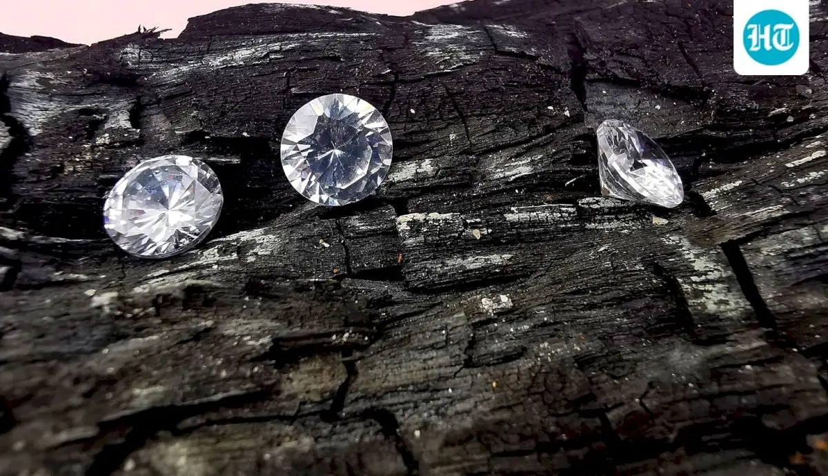 Seven labourers find Rs 50 lakh diamond in MP's Panna